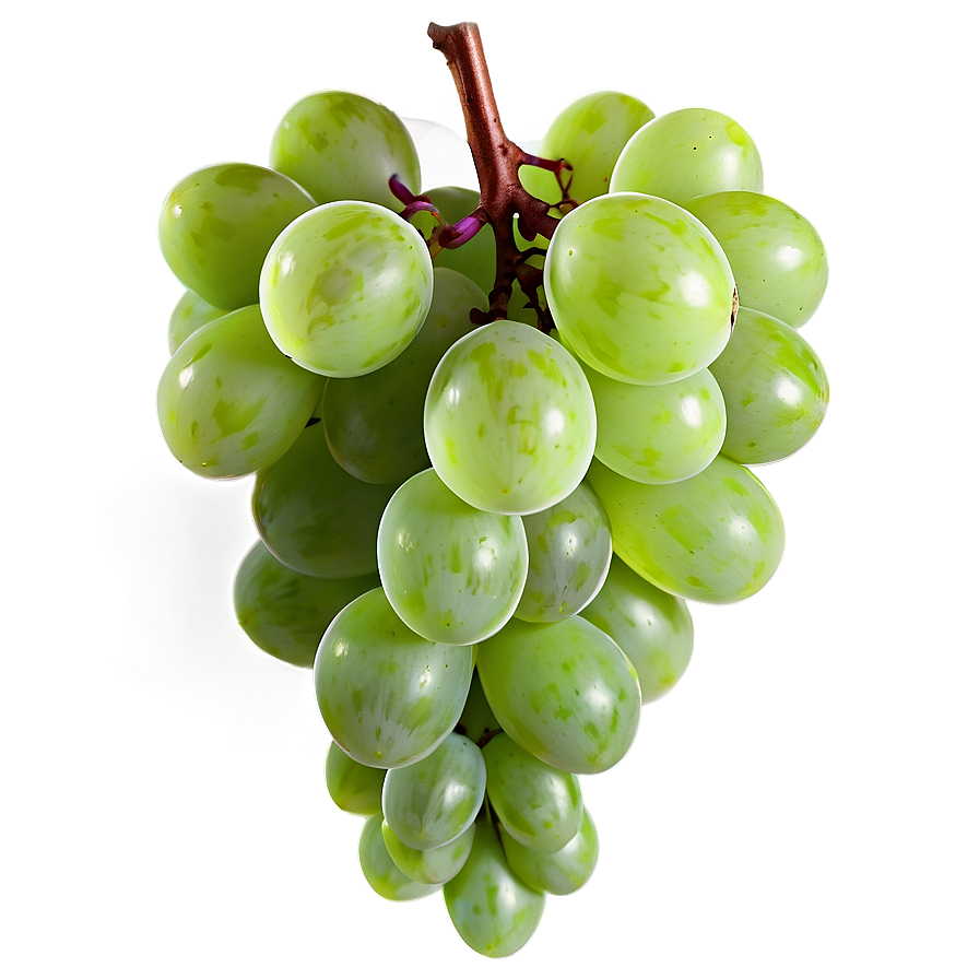 Lush Grape Image Png 06292024