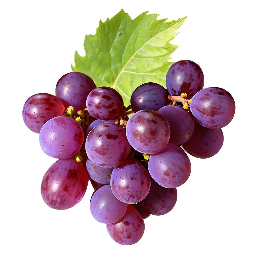 Lush Grape Image Png 2