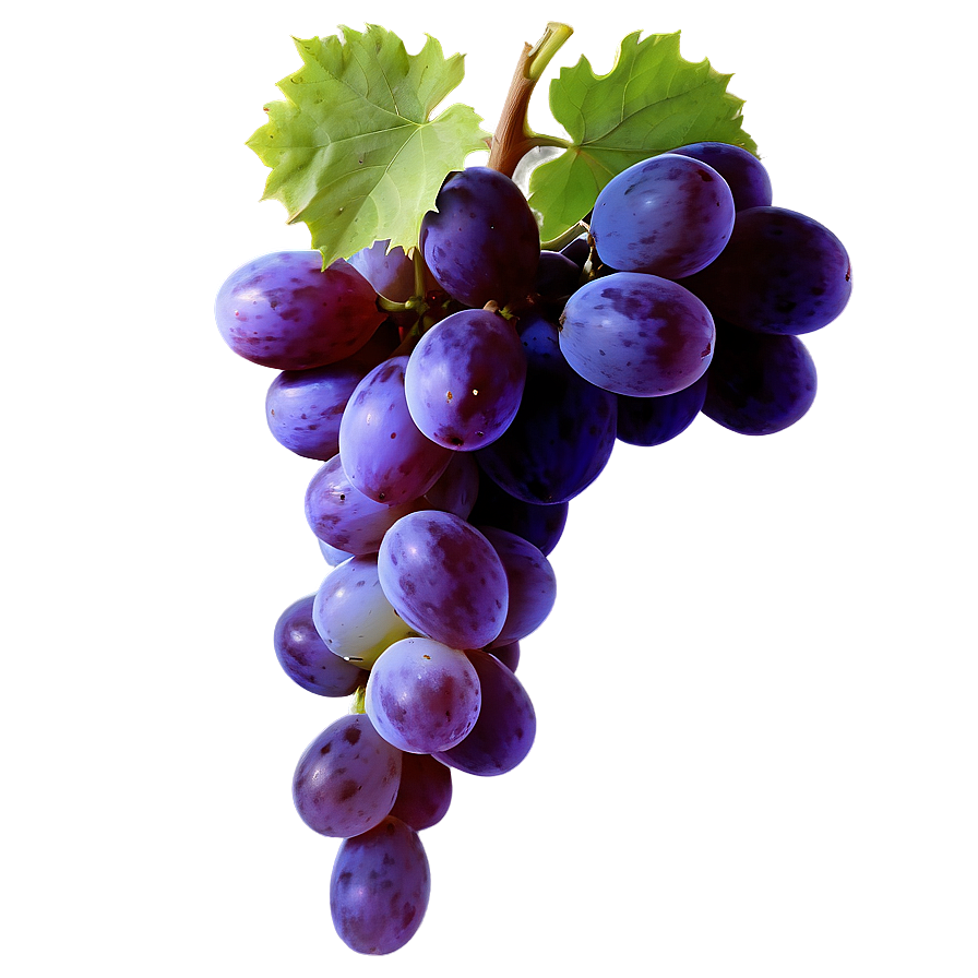 Lush Grape Image Png 31