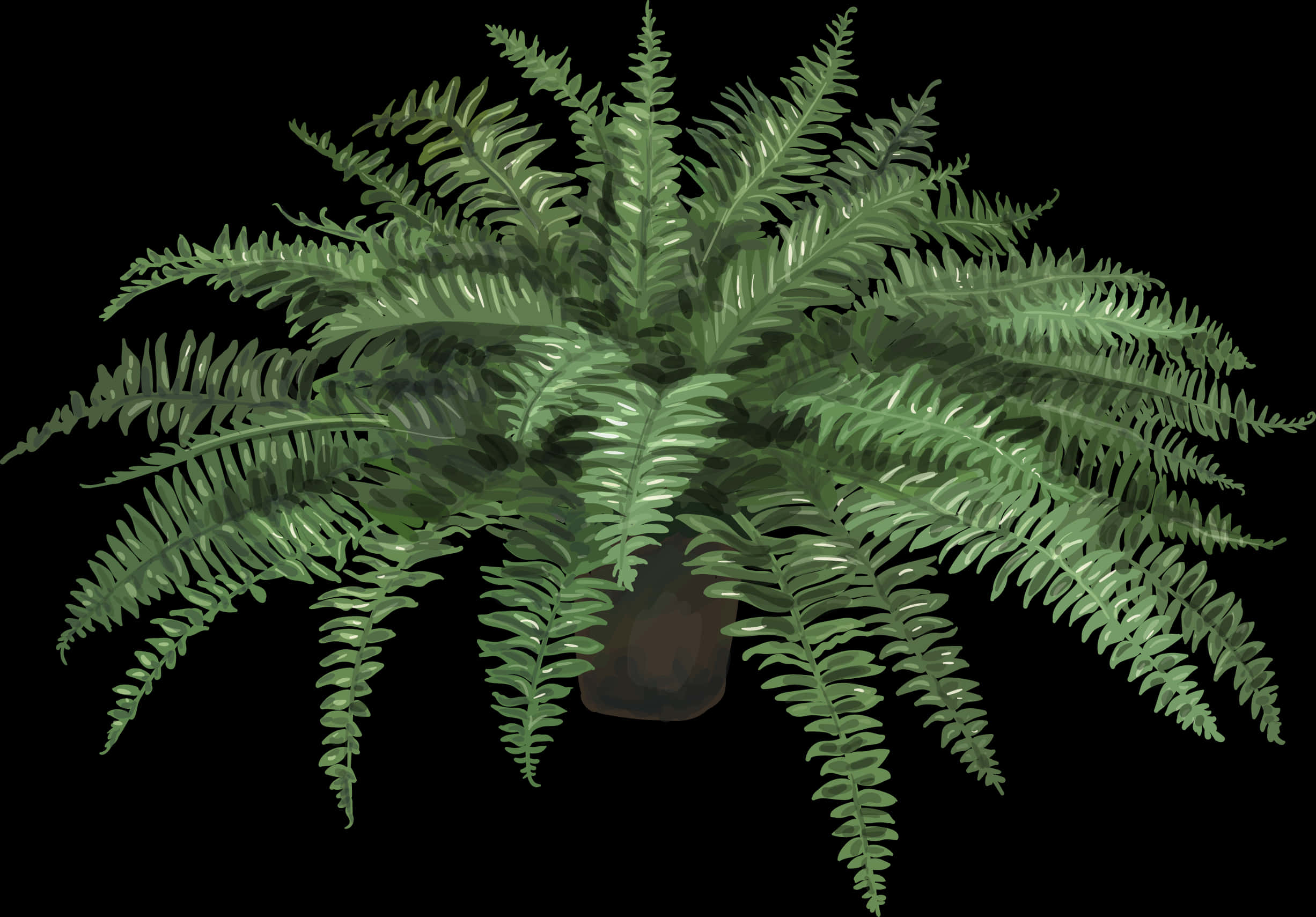 Lush Green Fern Plant