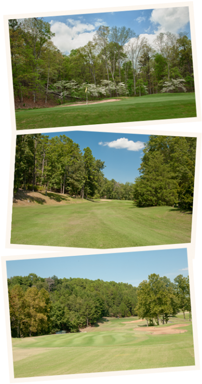 Lush Green Golf Course Scenes