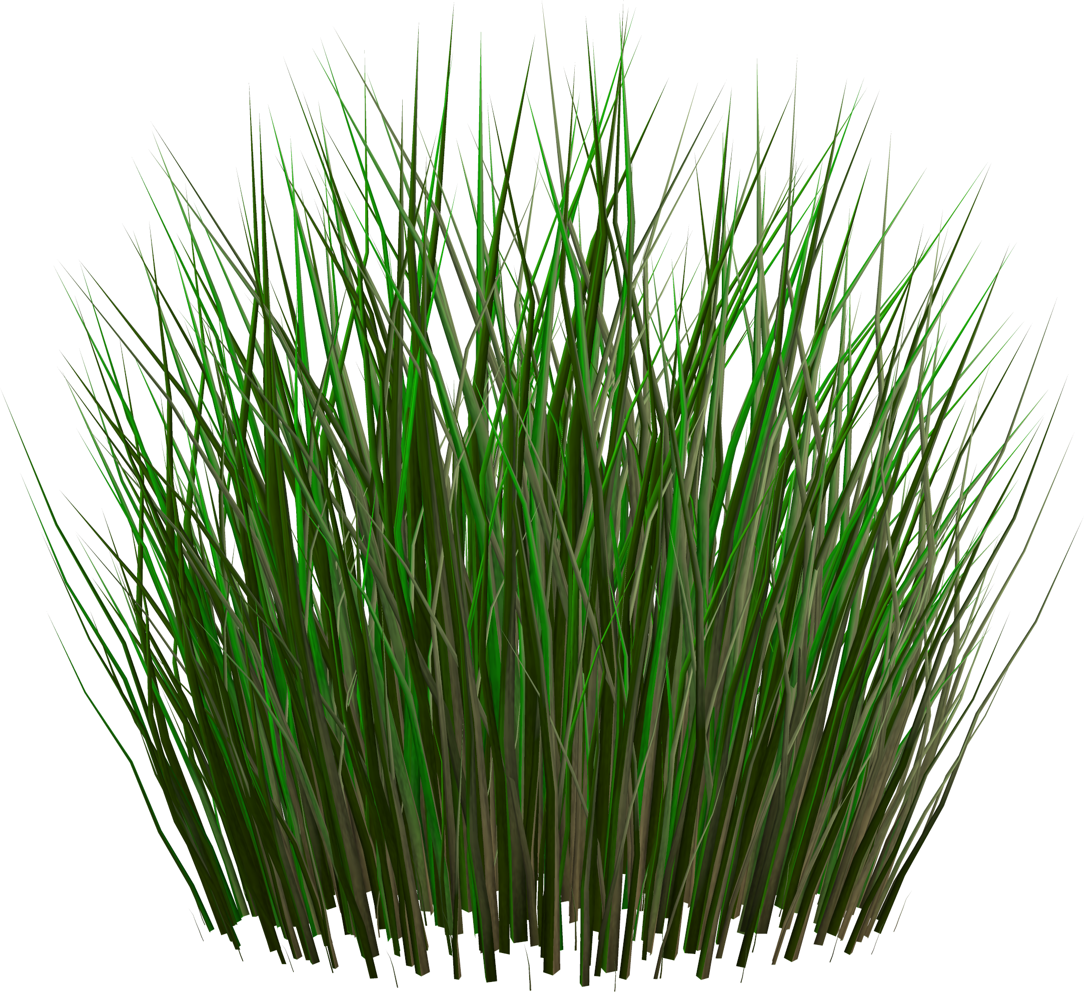 Lush_ Green_ Grass_ Clump PNG with transparent background