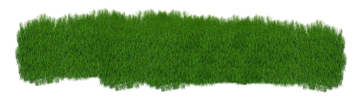 Lush Green Grass Texture Panorama PNG with transparent background