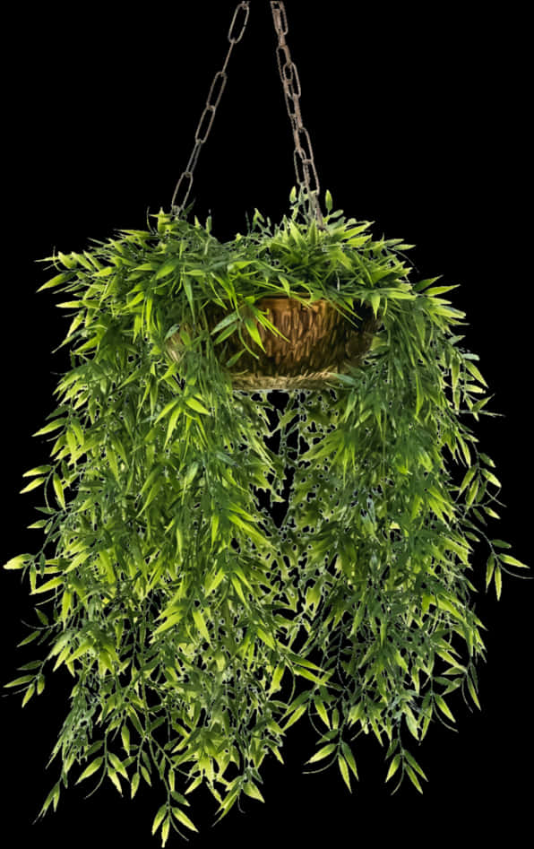 Transparent Plants Png - Hanging Potted Plant Png, Png Download PNG with transparent background