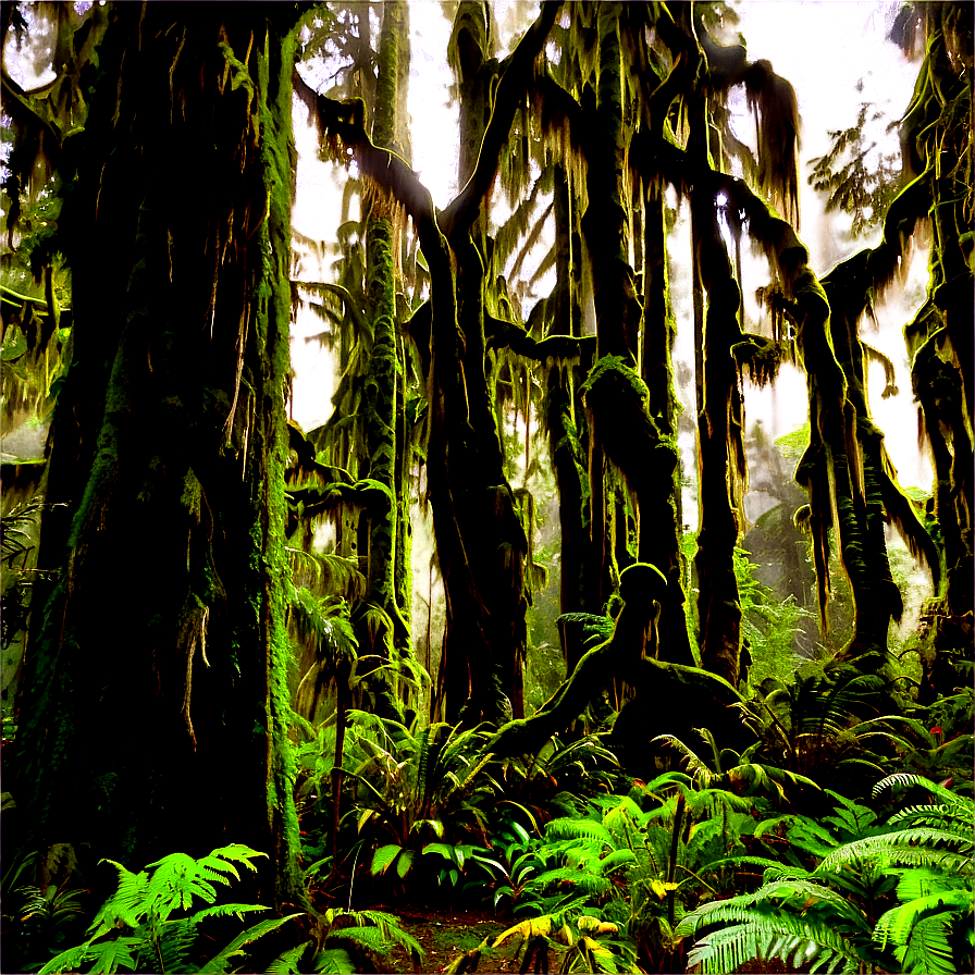 Lush Hoh Rainforest Png Wdn79