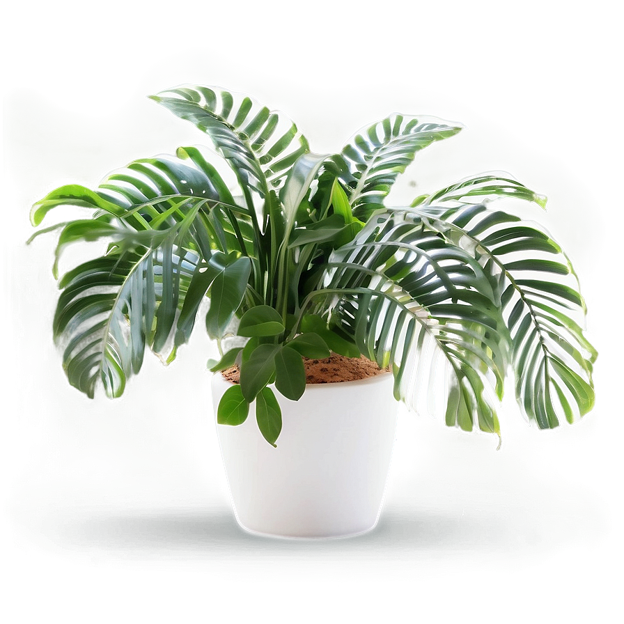 Lush Indoor Plant Png Whv58