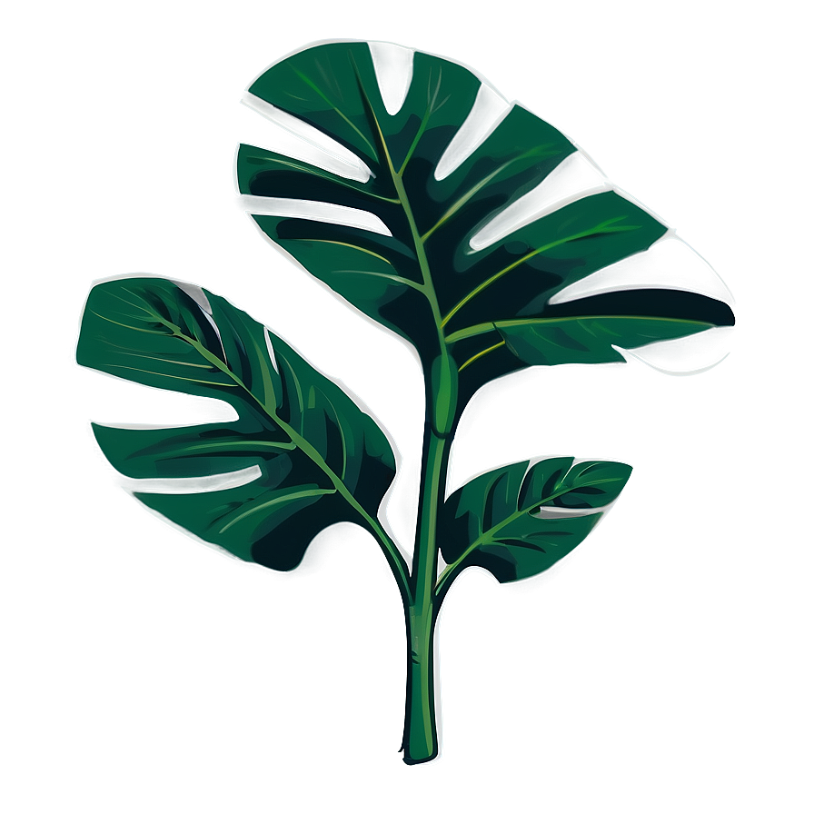 Lush Monstera Plant Png Yev