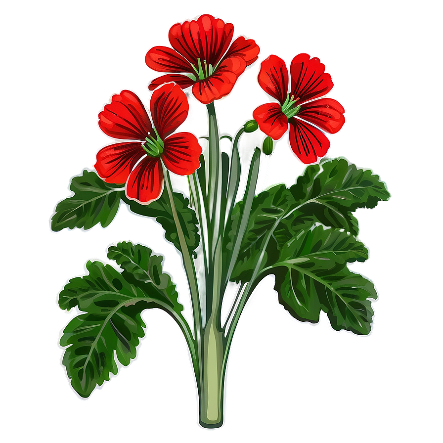 Lush Red Geraniums Png Vfv