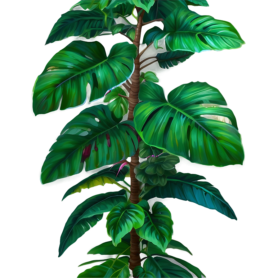 Lush Tropical Plant Png 06272024