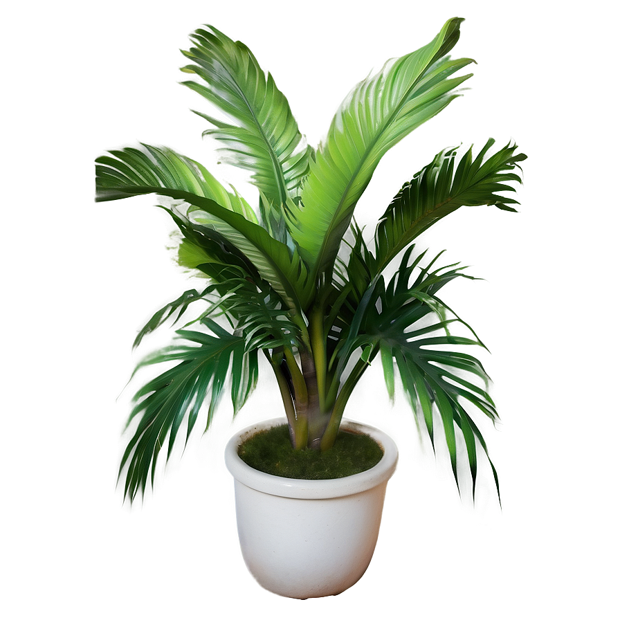 Lush Tropical Plant Png Guy