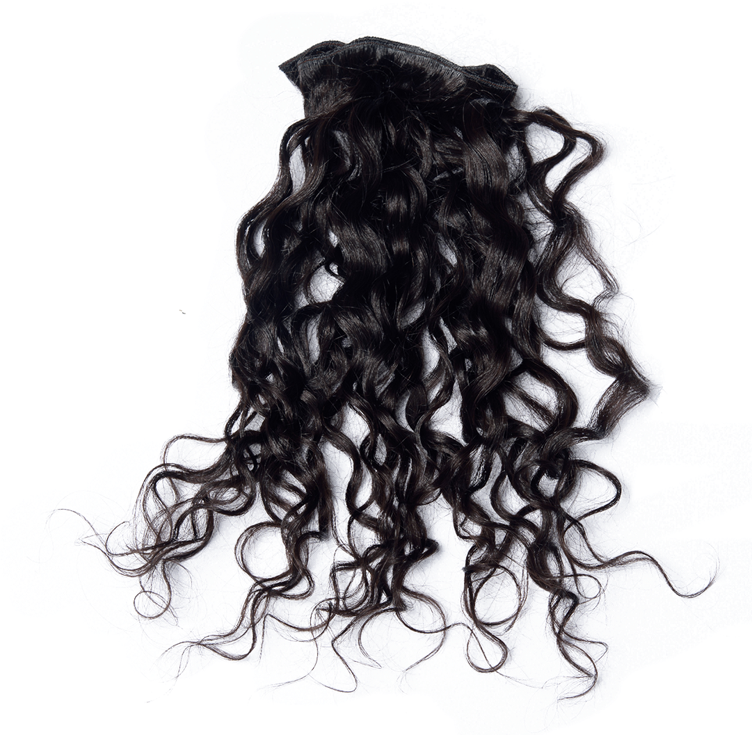 Curly Black Hair Png , Png Download - Black Curly Hair From Back Png, Transparent Png PNG with transparent background