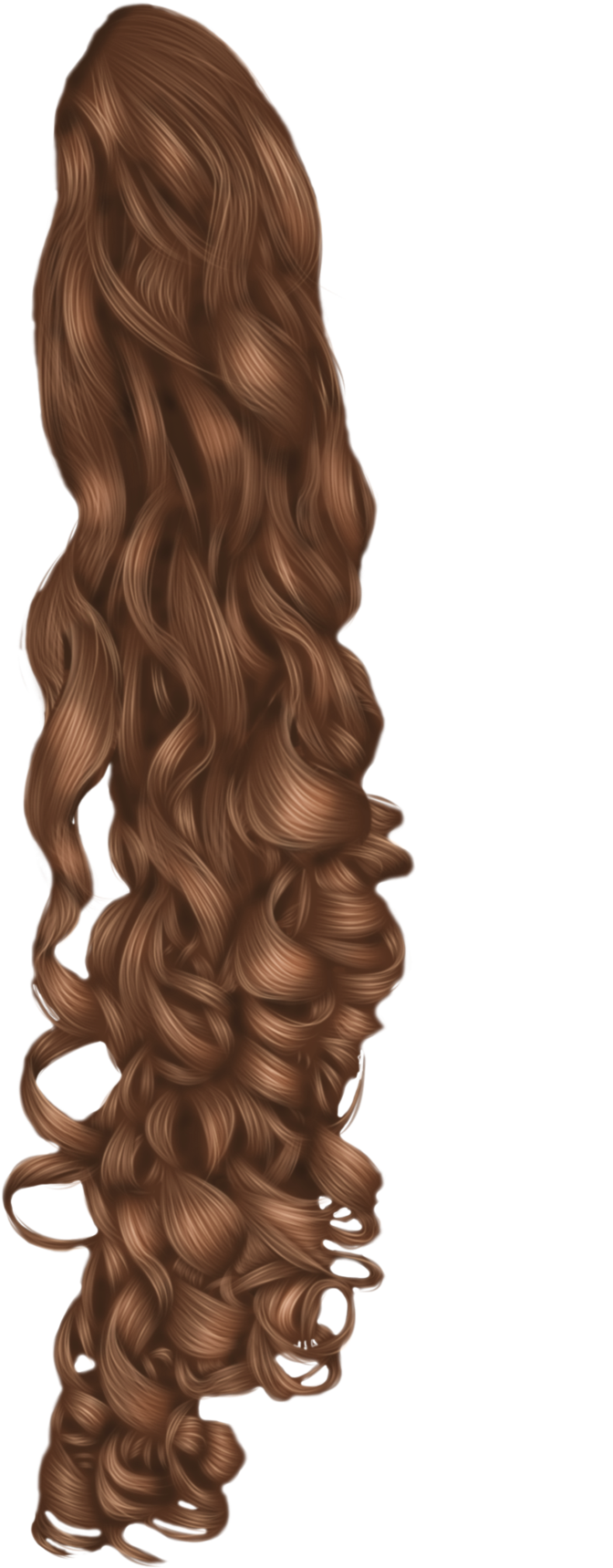 Black Hair Wig Hairstyle - Curly Hair Png Transparent, Png Download PNG with transparent background