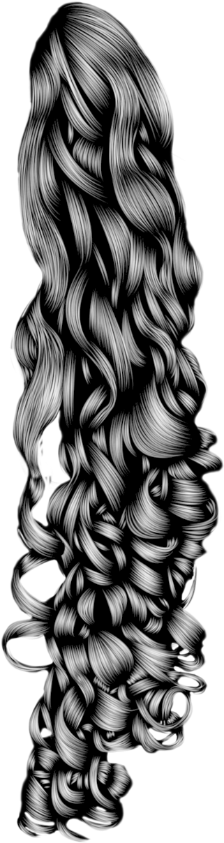 Black Curly Pony Tail By Hell - Curly Hair Png Transparent, Png Download PNG with transparent background