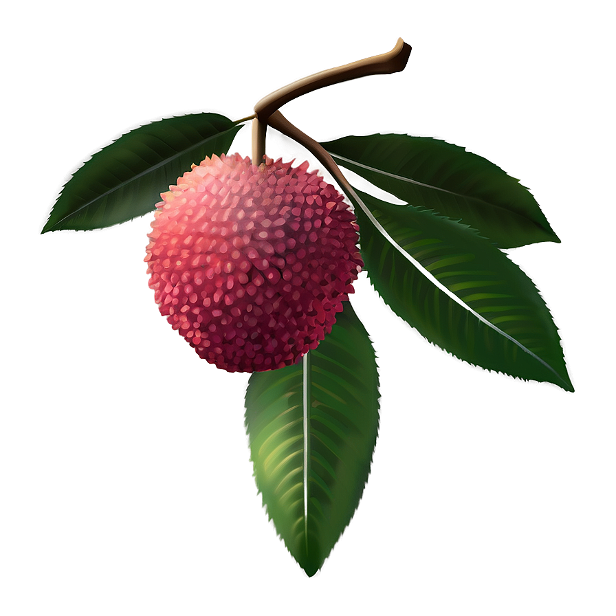 Lychee Fruit Icon Png 92