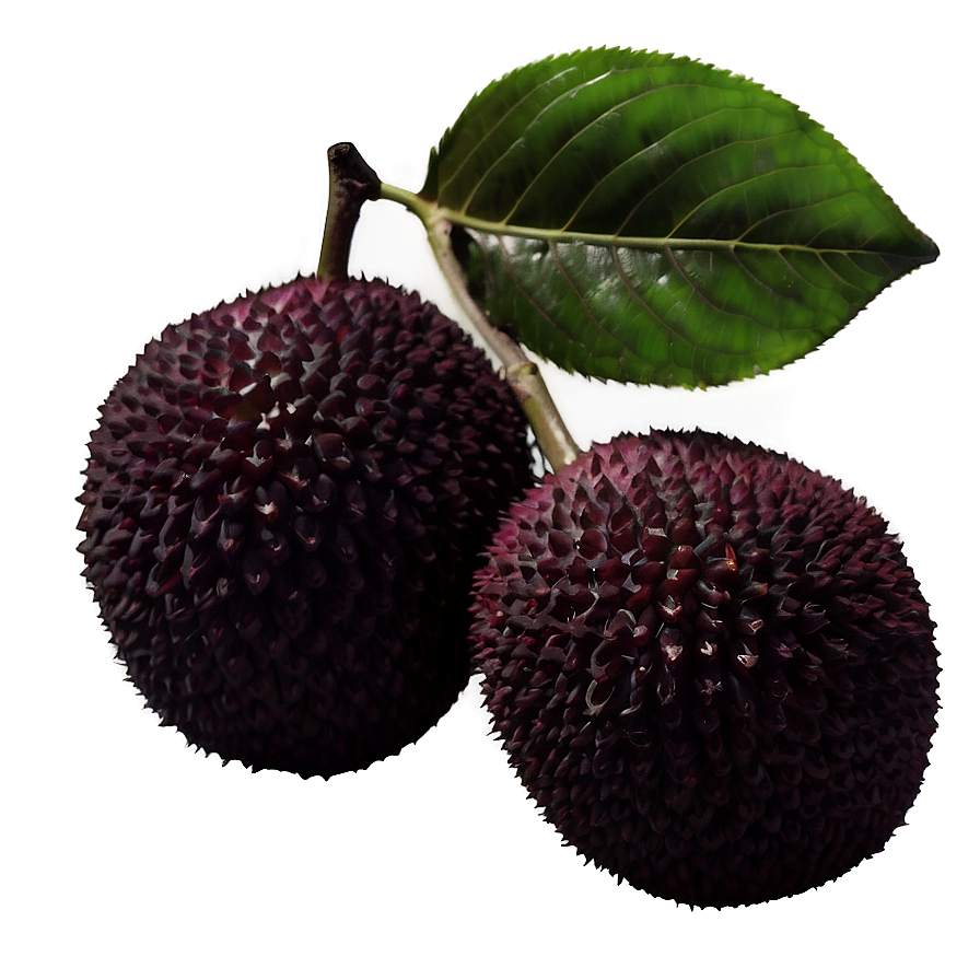 Lychee Fruit Silhouette Png 06252024