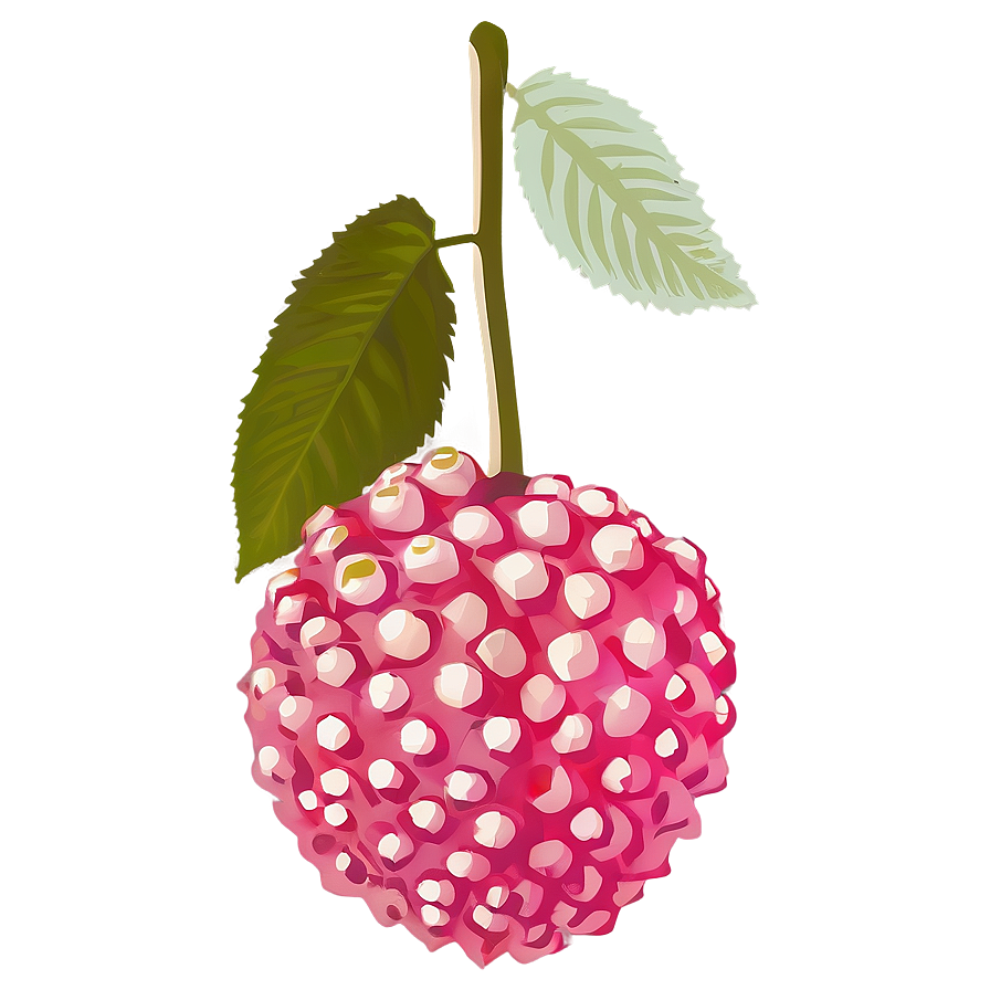 Lychee Fruit Silhouette Png 49