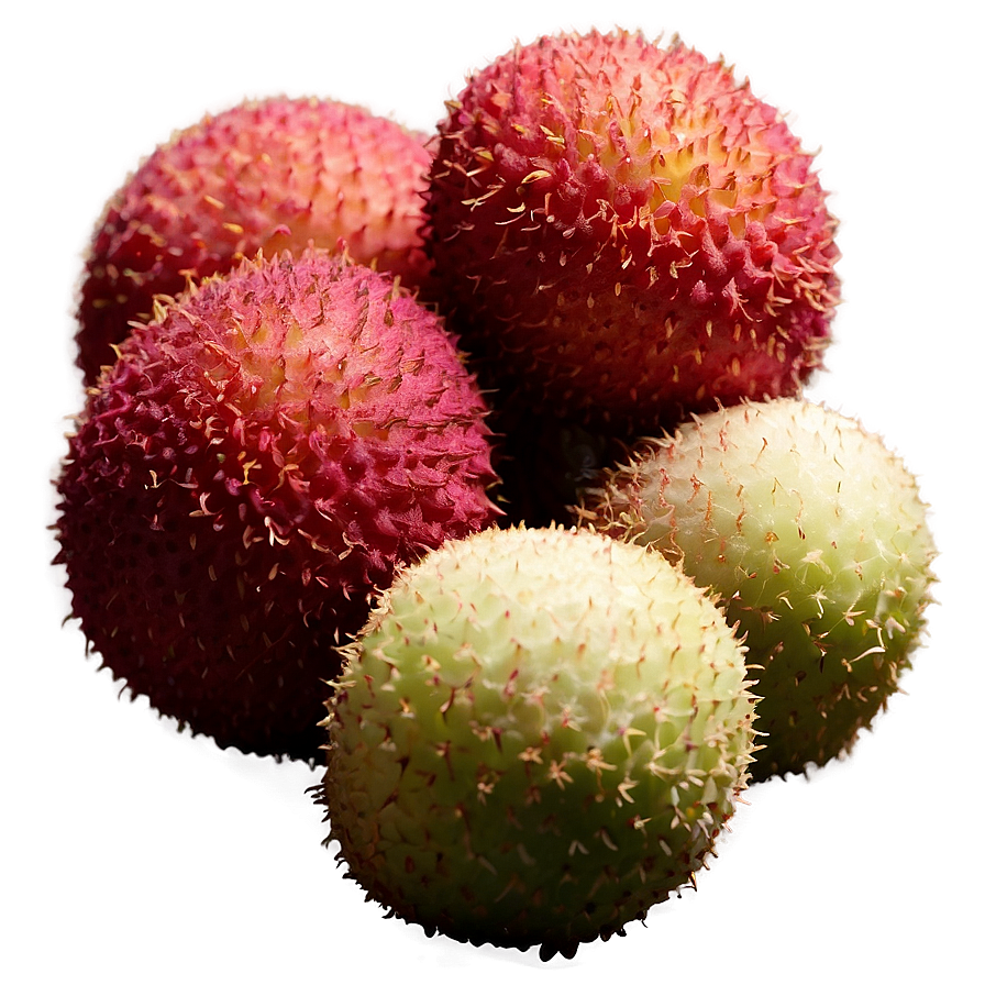 Lychee In Natural Light Png 25