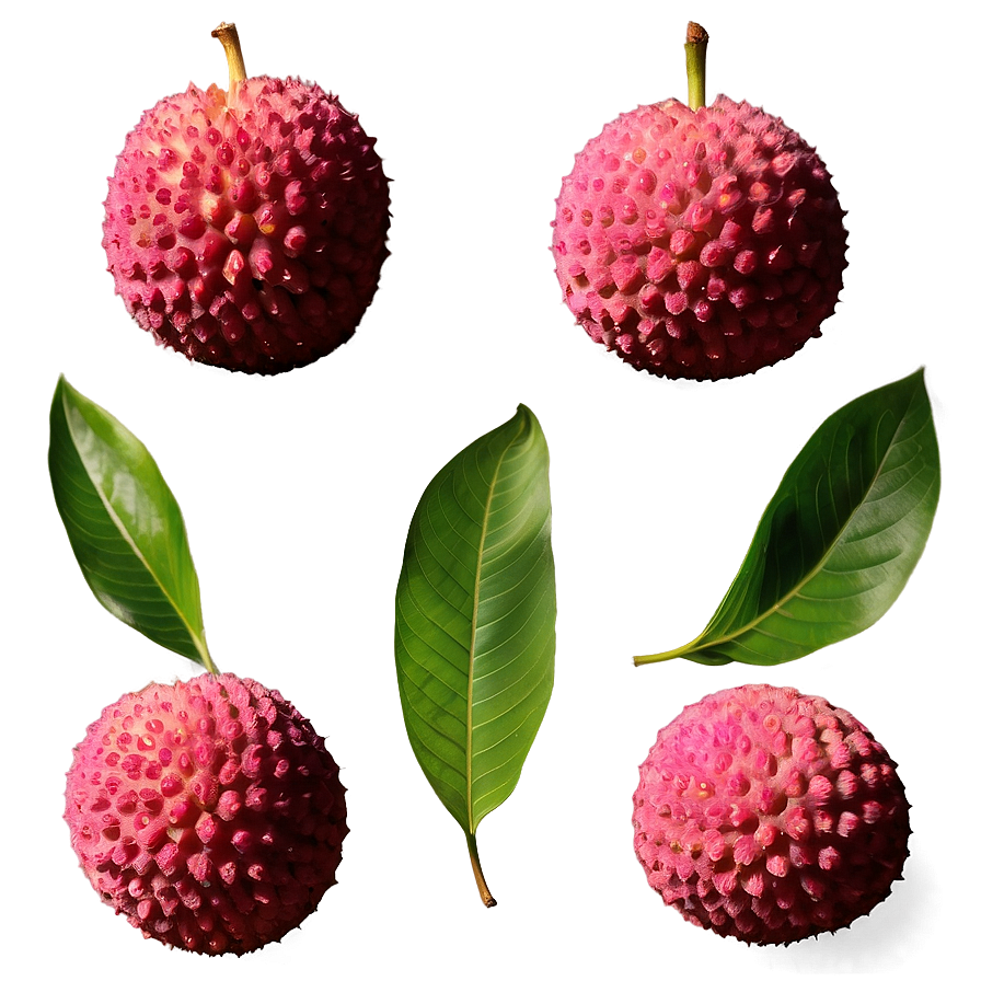 Lychee Pink Flesh Png 06252024