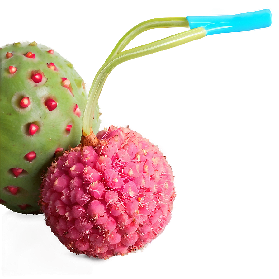 Lychee Summer Refreshment Png 59