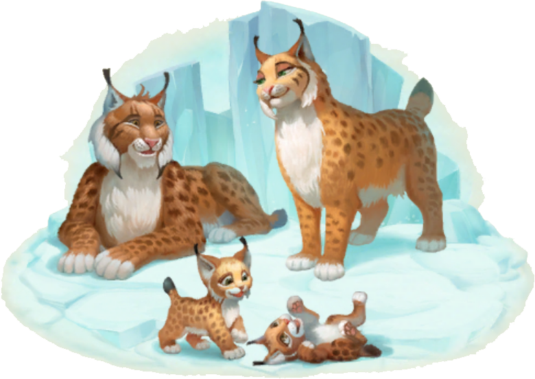 Lynx Family Illustration