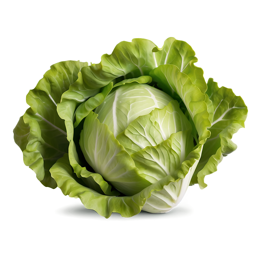 Mâche Lettuce Png 05242024