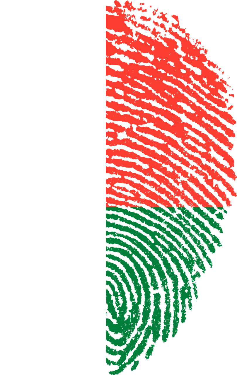 Madagascar Flag Fingerprint