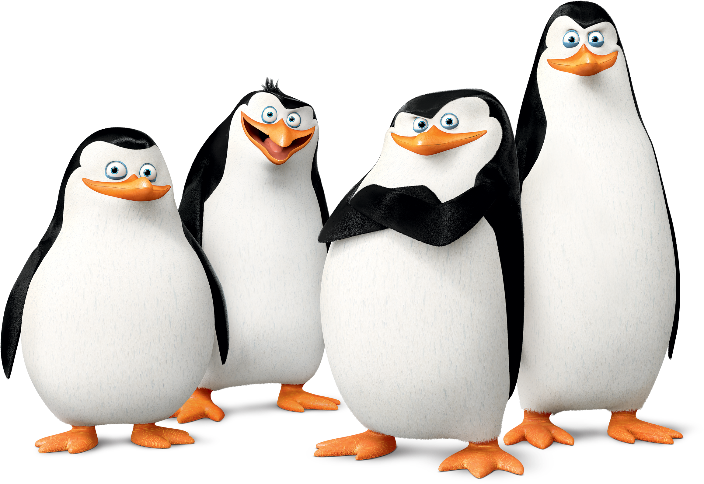 Madagascar Penguins Group Pose