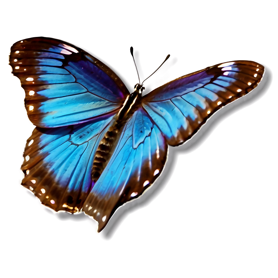 Magical Blue Butterfly Png Elq90