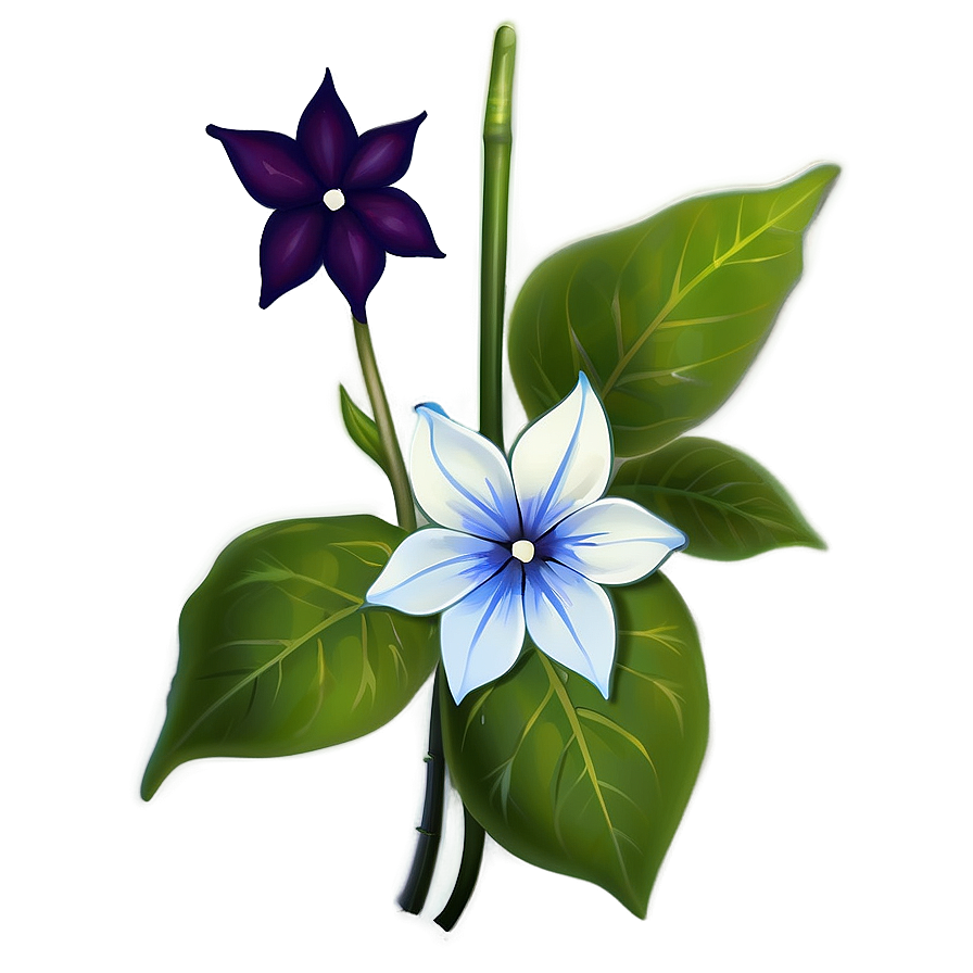 Magical Moonflower Png Qdy28