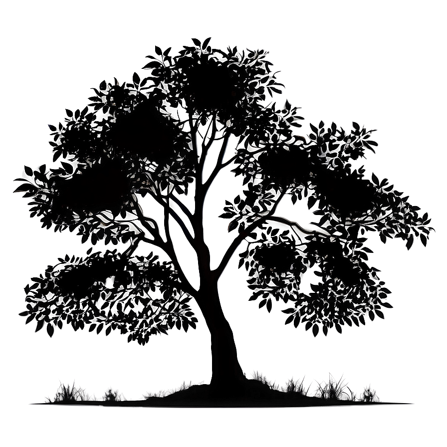 Magnolia Tree Sunset Silhouette PNG 06212024 PNG image with a transparent background, free high-resolution download
