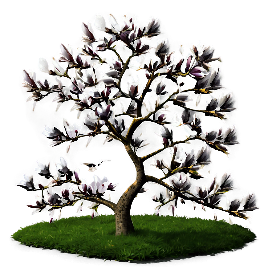 Magnolia Tree With Birds Png Ebh