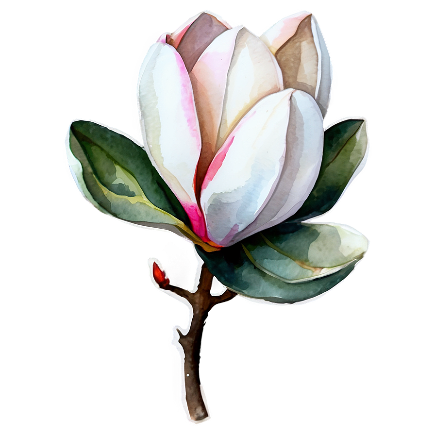 Magnolia Watercolor Charm Png Lgx31