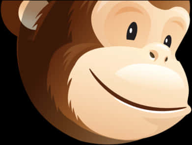 Mailchimp Logo Closeup