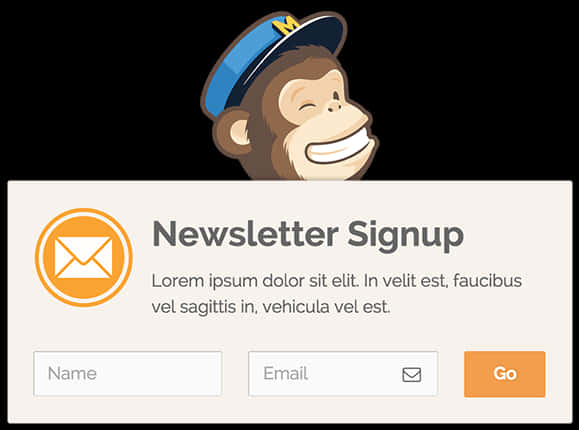 Mailchimp Newsletter Signup Form