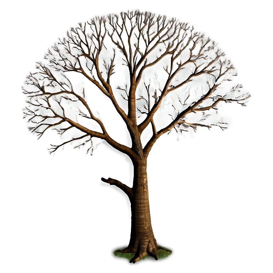 Majestic Bare Tree Png 65