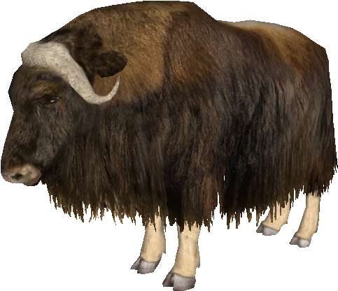 Majestic Bison Isolated.png