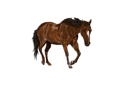Majestic Brown Horse Artwork PNG with transparent background