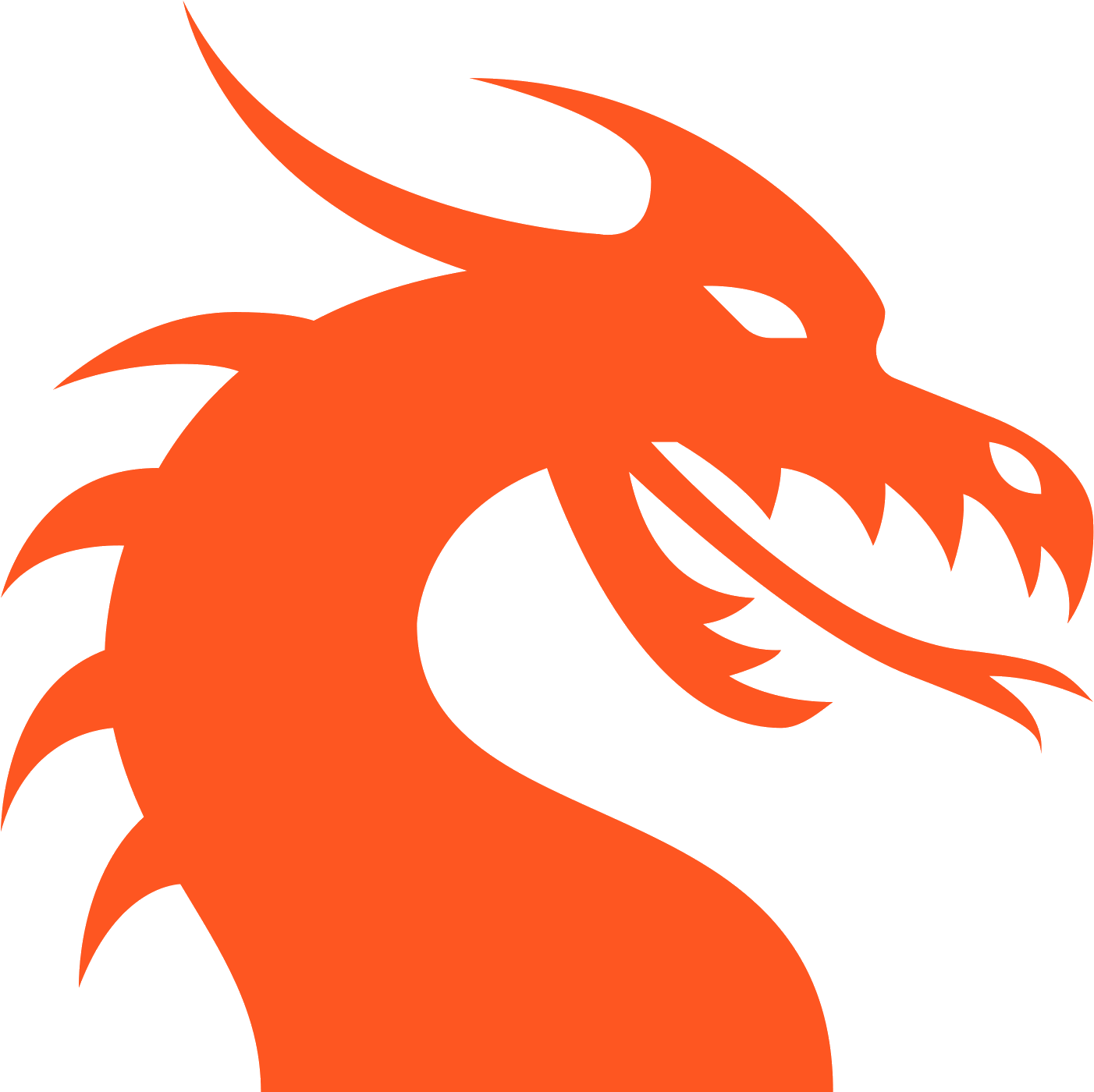 Majestic Dragon Silhouette