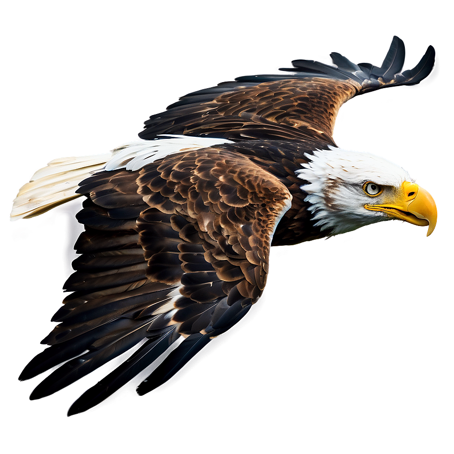 Majestic Eagle Flying Png 9