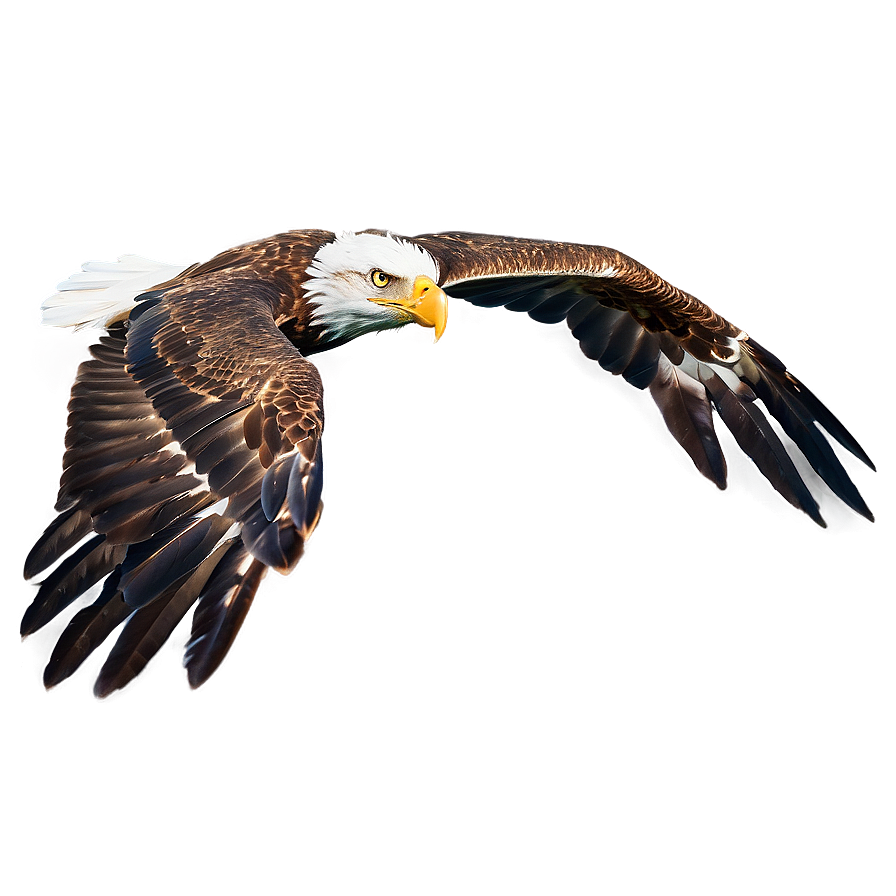 Majestic Eagle Flying Png Fdm99