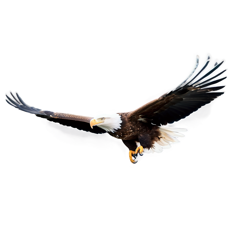 Majestic Eagle Flying Png Slr95