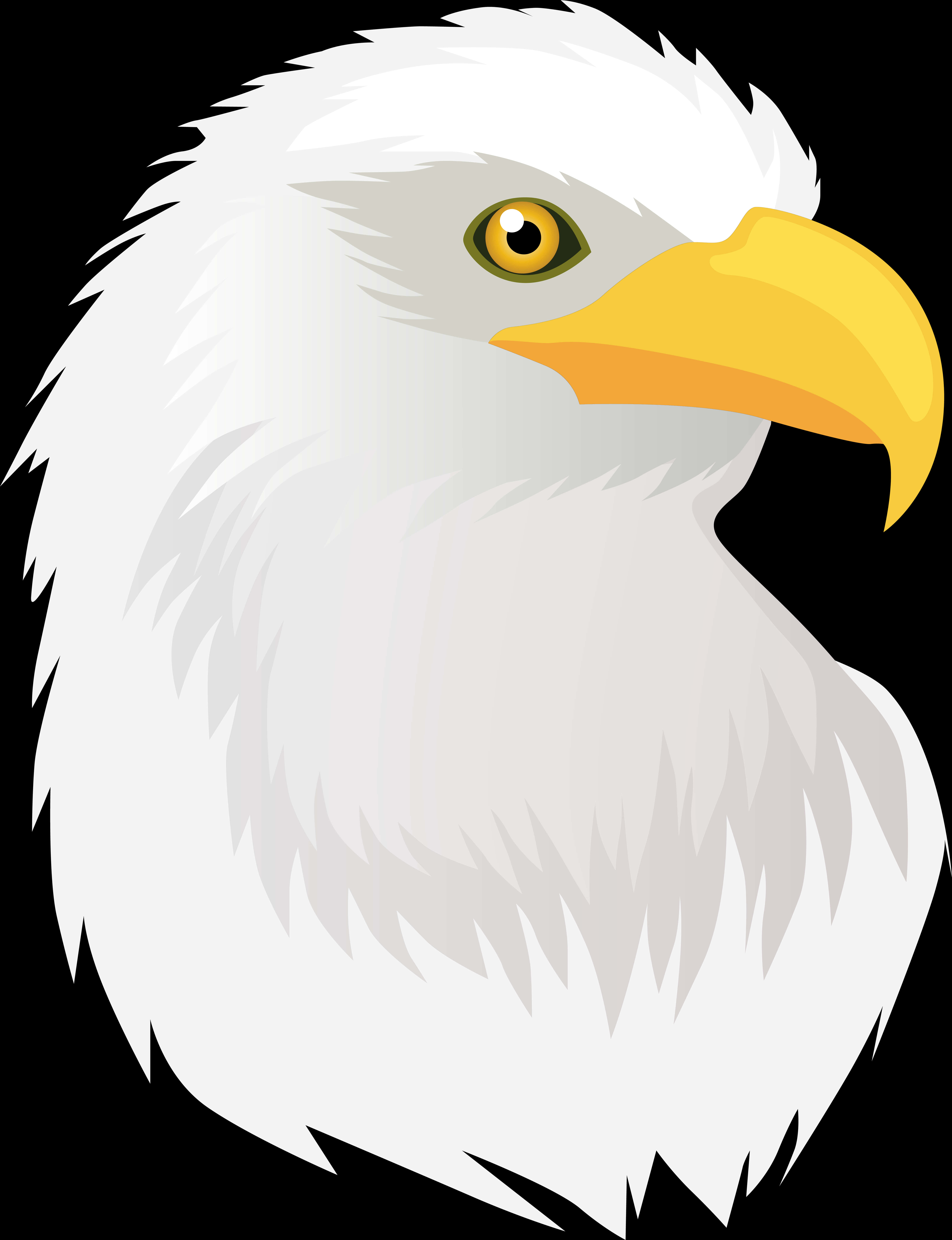 Bald Eagle Head Clipart 6 Free Frog - Bald Eagle, HD Png Download PNG with transparent background