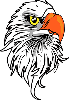 Majestic_ Eagle_ Head_ Vector