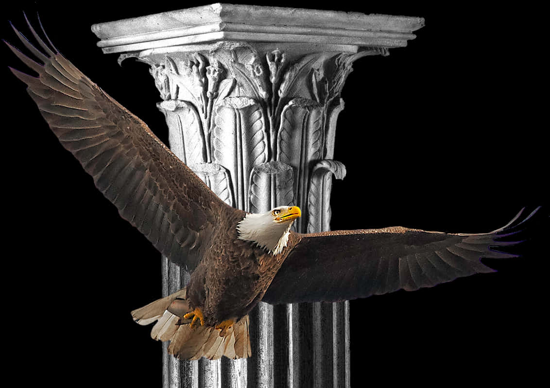 Majestic Eagle In Flight Over Column