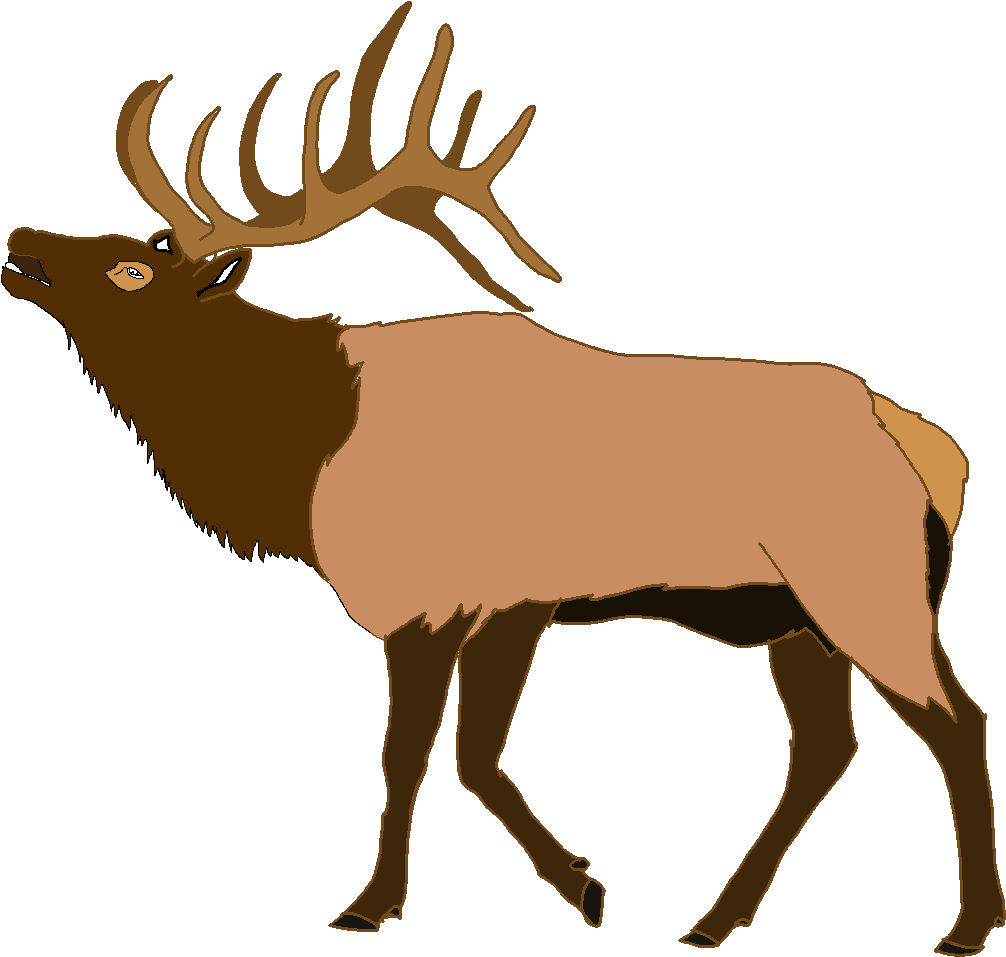 Majestic Elk Illustration