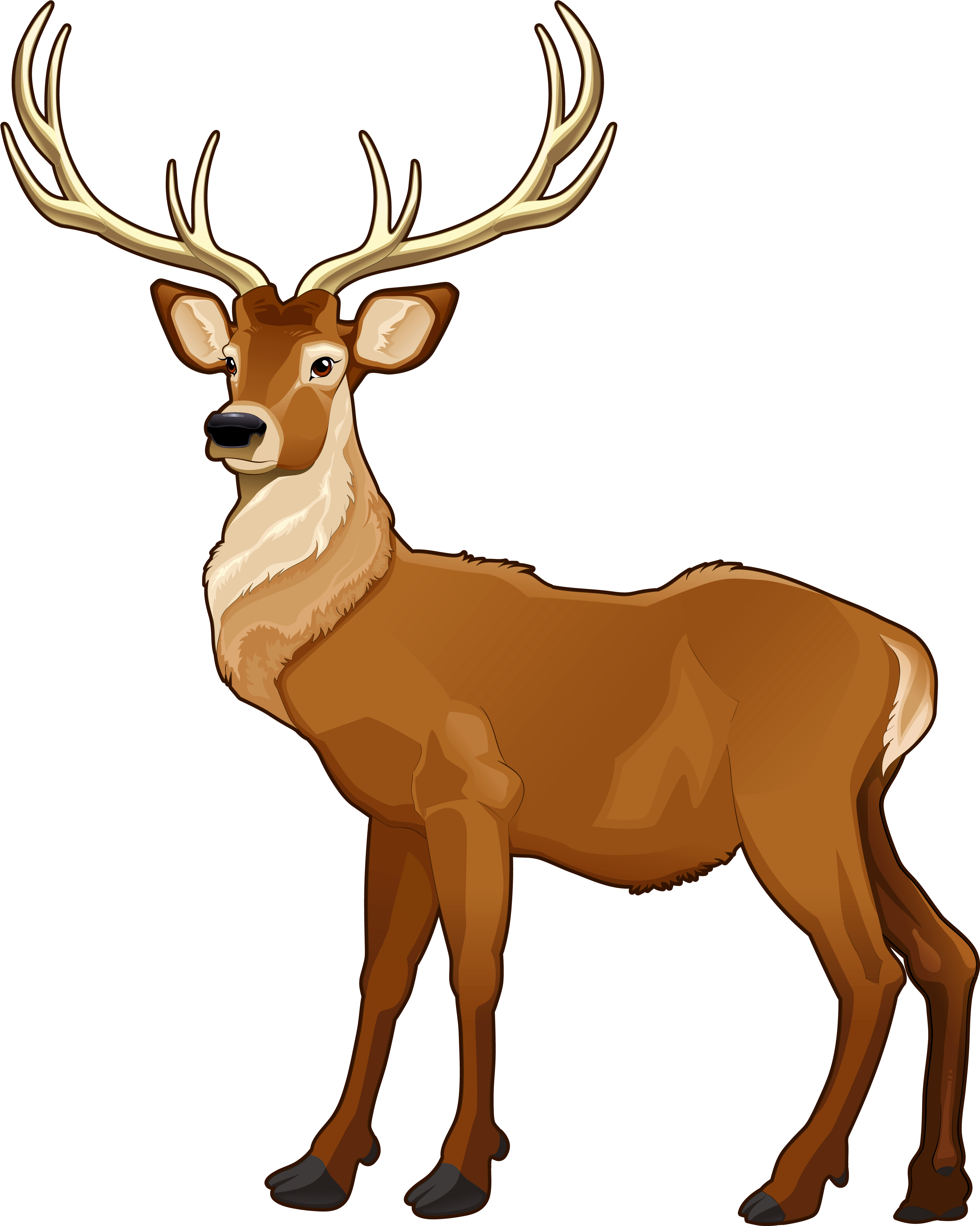 Elk Png Art - 羚羊 卡通, Transparent Png PNG with transparent background