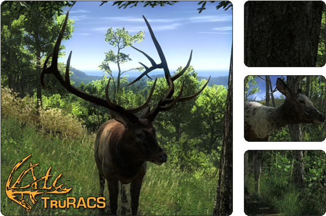 Thehunter Wikia - Roosevelt Elk The Hunter Classic, HD Png Download PNG with transparent background