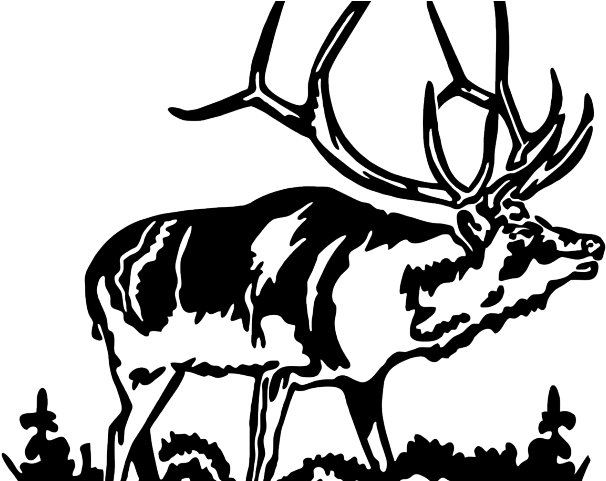 Bull Elk Clip Art, HD Png Download PNG with transparent background