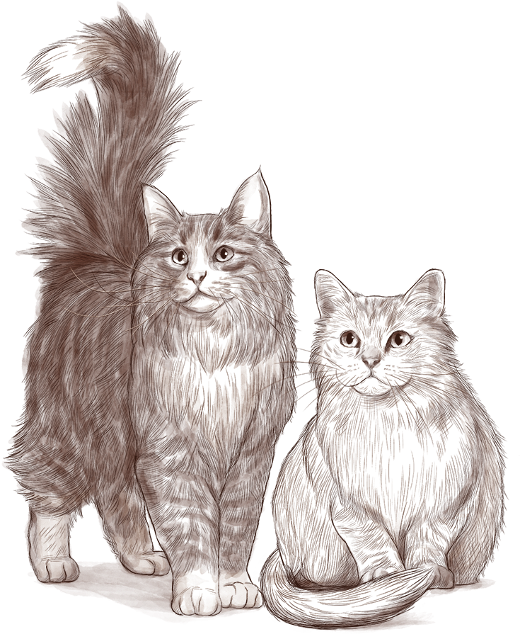 Majestic_ Feline_ Pair_ Illustration.png