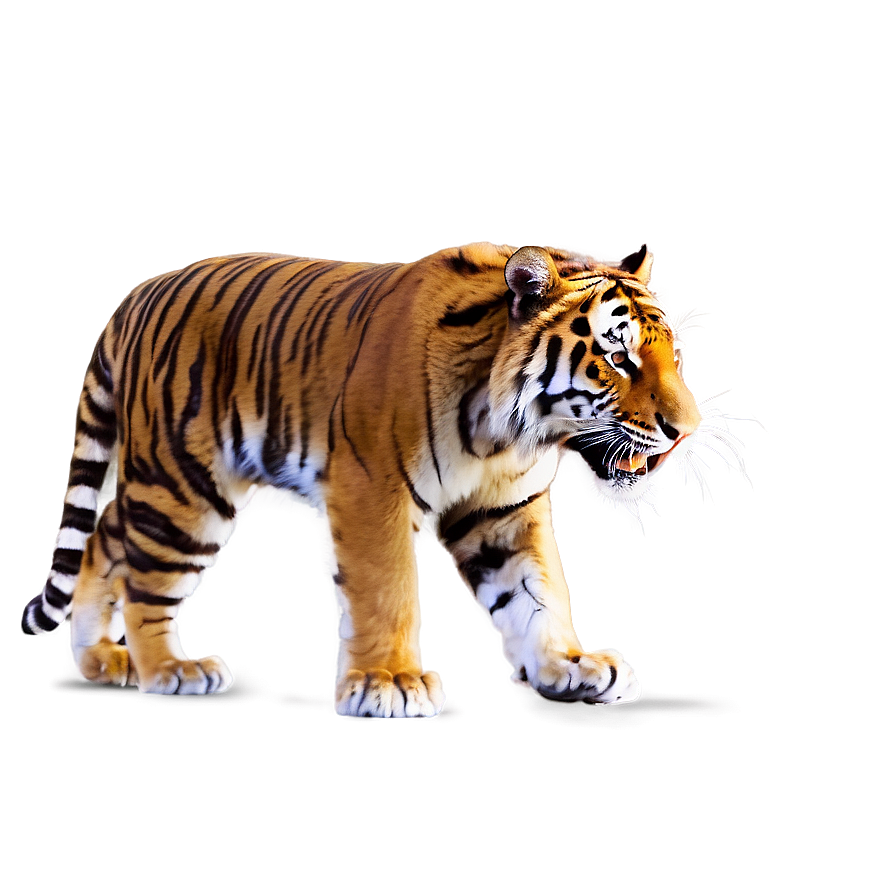 Majestic Fury Tiger Png 2